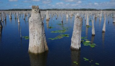 Decades after a Florida canal project was abandoned, advocates are trying to reunite 2 rivers :: WRAL.com