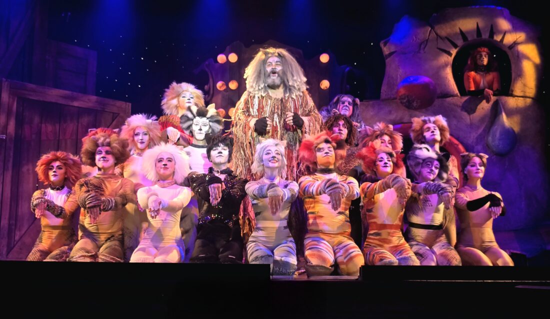 CATS returns to Broadway Palm