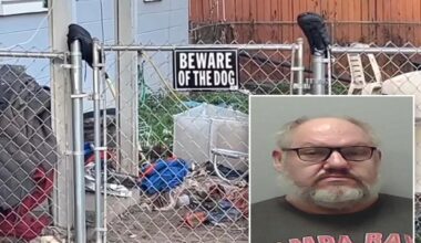 Florida woman mauled by 7 dogs in front of sex offender's home