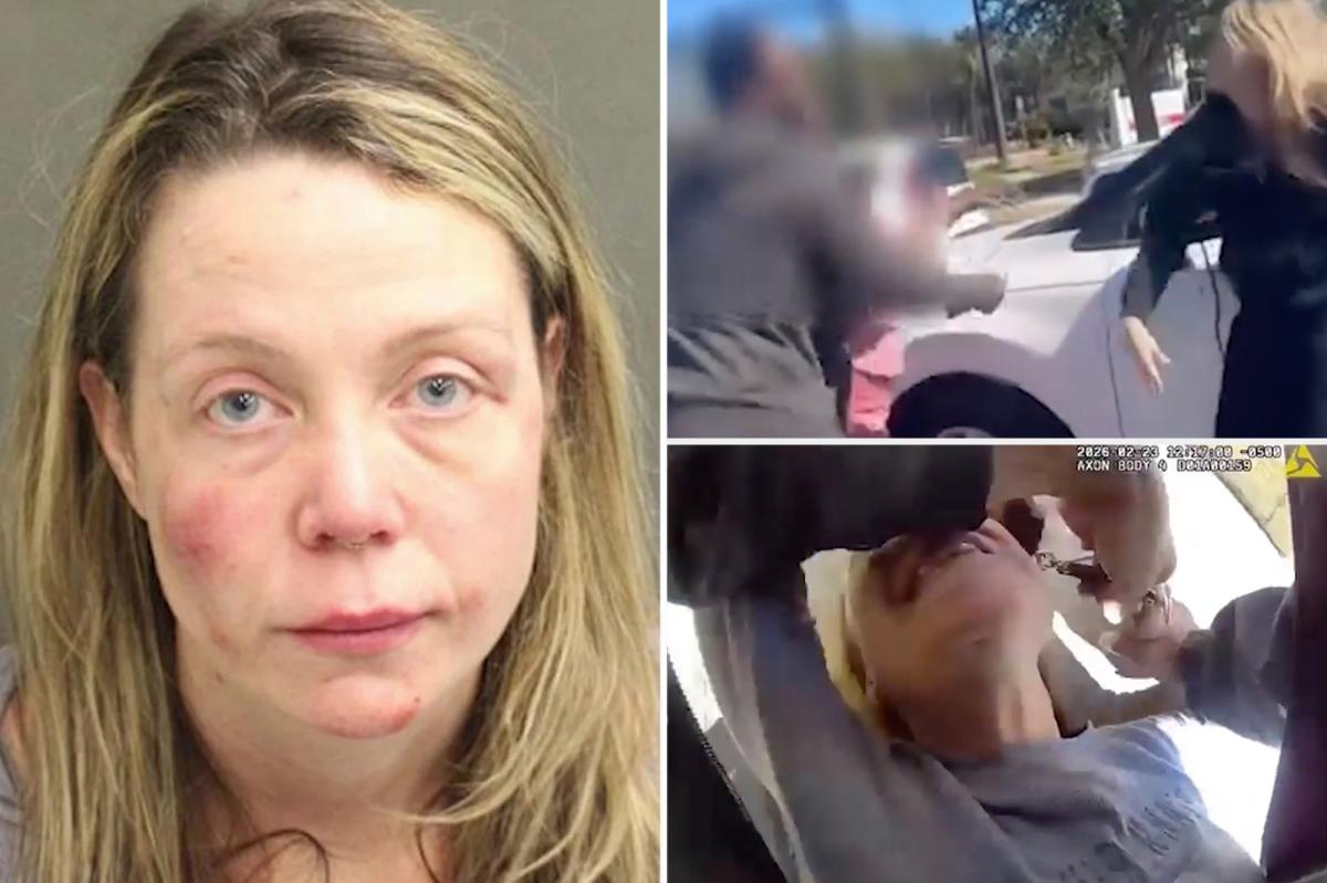 Florida lunatic beats pregnant driver, attacks elderly bystander, and bites cop in road rage rampage: video