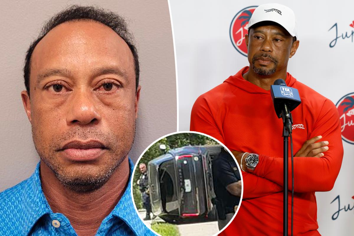 Tiger Woods mugshot released after Florida car crash, DUI arrest