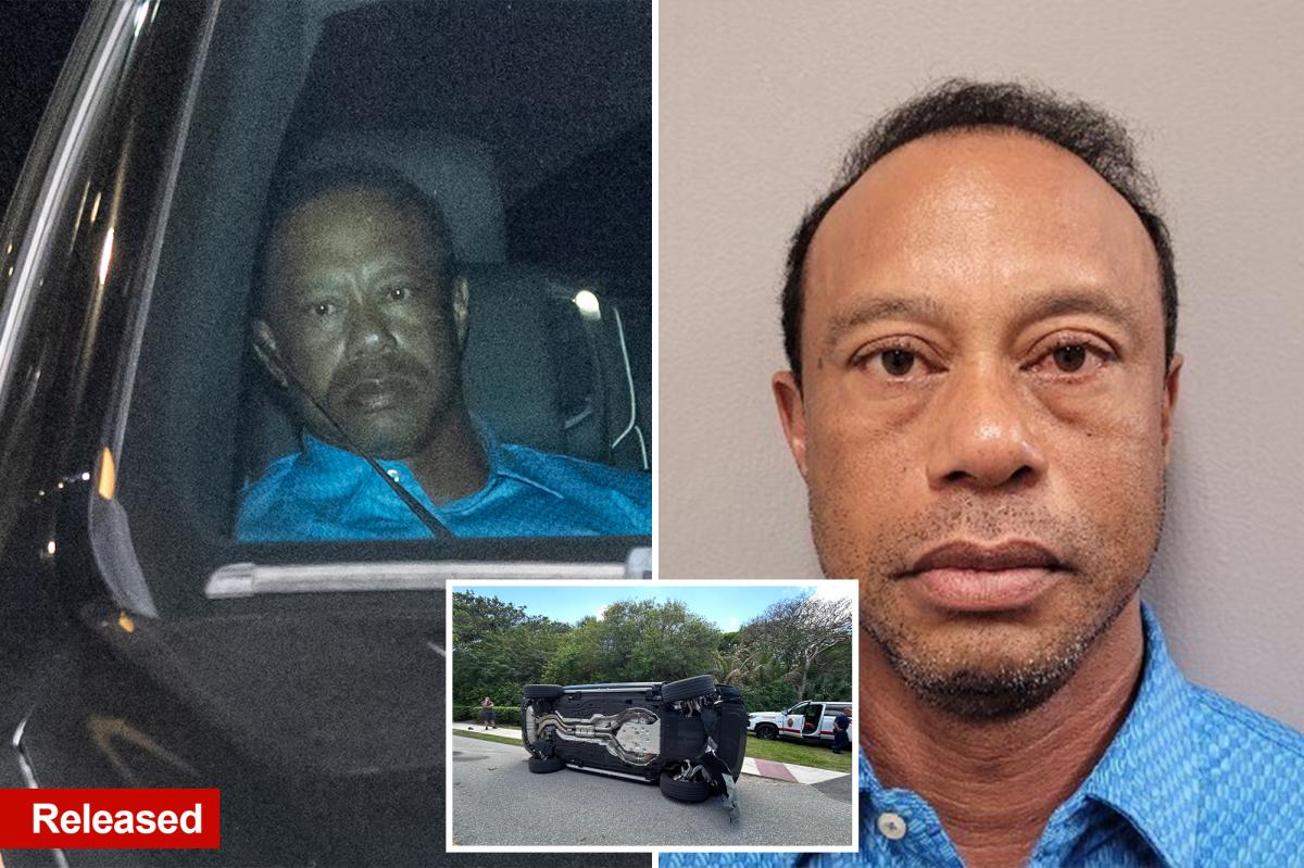 Tiger Woods released from Florida jail hours after car crash DUI arrest