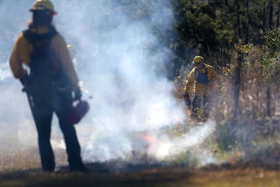 A prescribed burns manager uses a drip torch to ignite brush during a burn demonstration during the Red Hills Fire Festival at Tall Timbers on Saturday, Jan. 25, 2020.