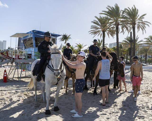 Brian Sherry, a student from the University at Buffalo, pets Titan, as horse-mounted police units from Fort Lauderdale and Davie patrol at Las Olas Beach during spring break on Friday, March 20, 2026, in Fort Lauderdale, Fla.