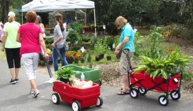 Get your green goodness at this weekend's Leu Gardens Plant Sale