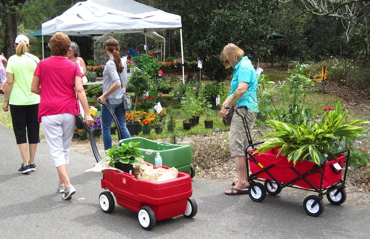Get your green goodness at this weekend's Leu Gardens Plant Sale