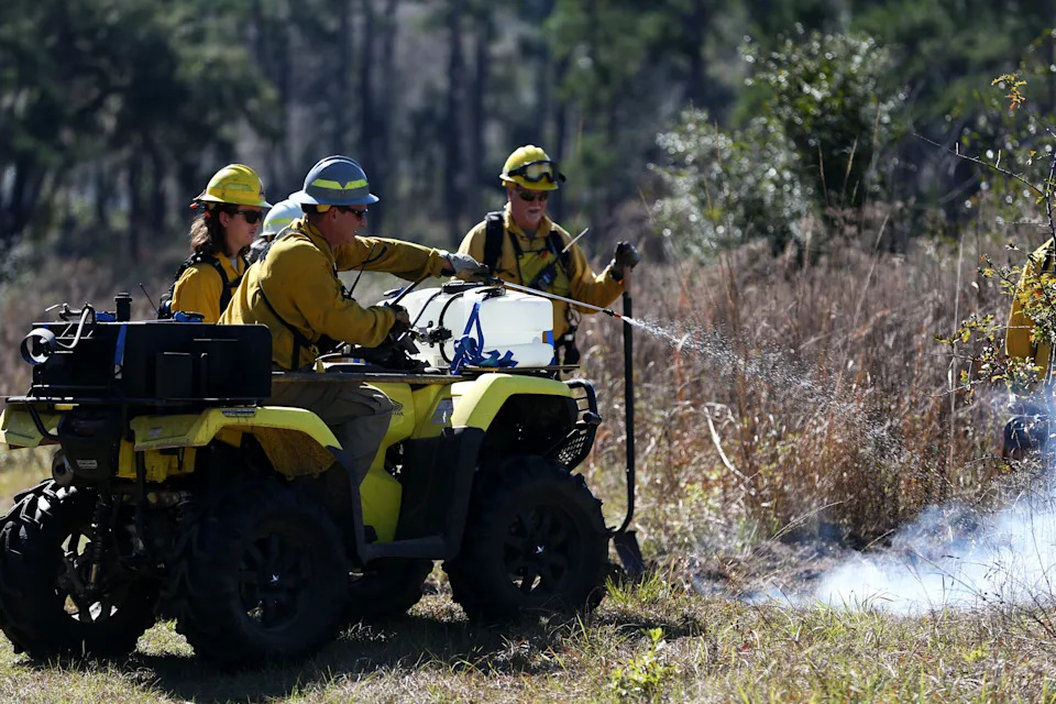 Prescribed burn managers conduct a burn demonstration during the Red Hills Fire Festival at Tall Timbers on Saturday, Jan. 25, 2020.