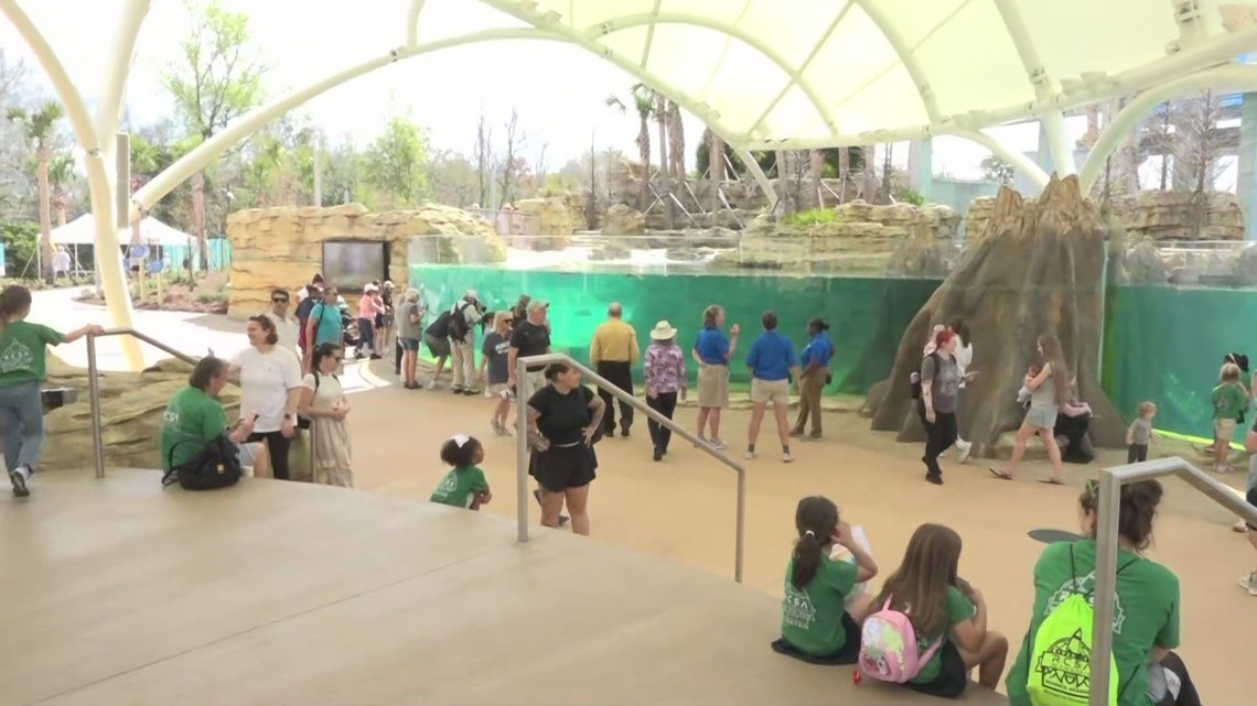 'Rezoovenation': State-of-the-art Manatee River exhibit opens at Jacksonville Zoo