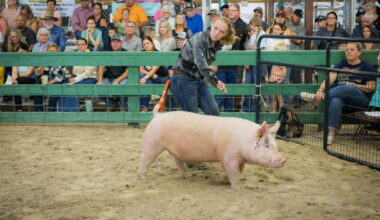 Ag Day will shine a light on the agricultural portion of the expo March 7