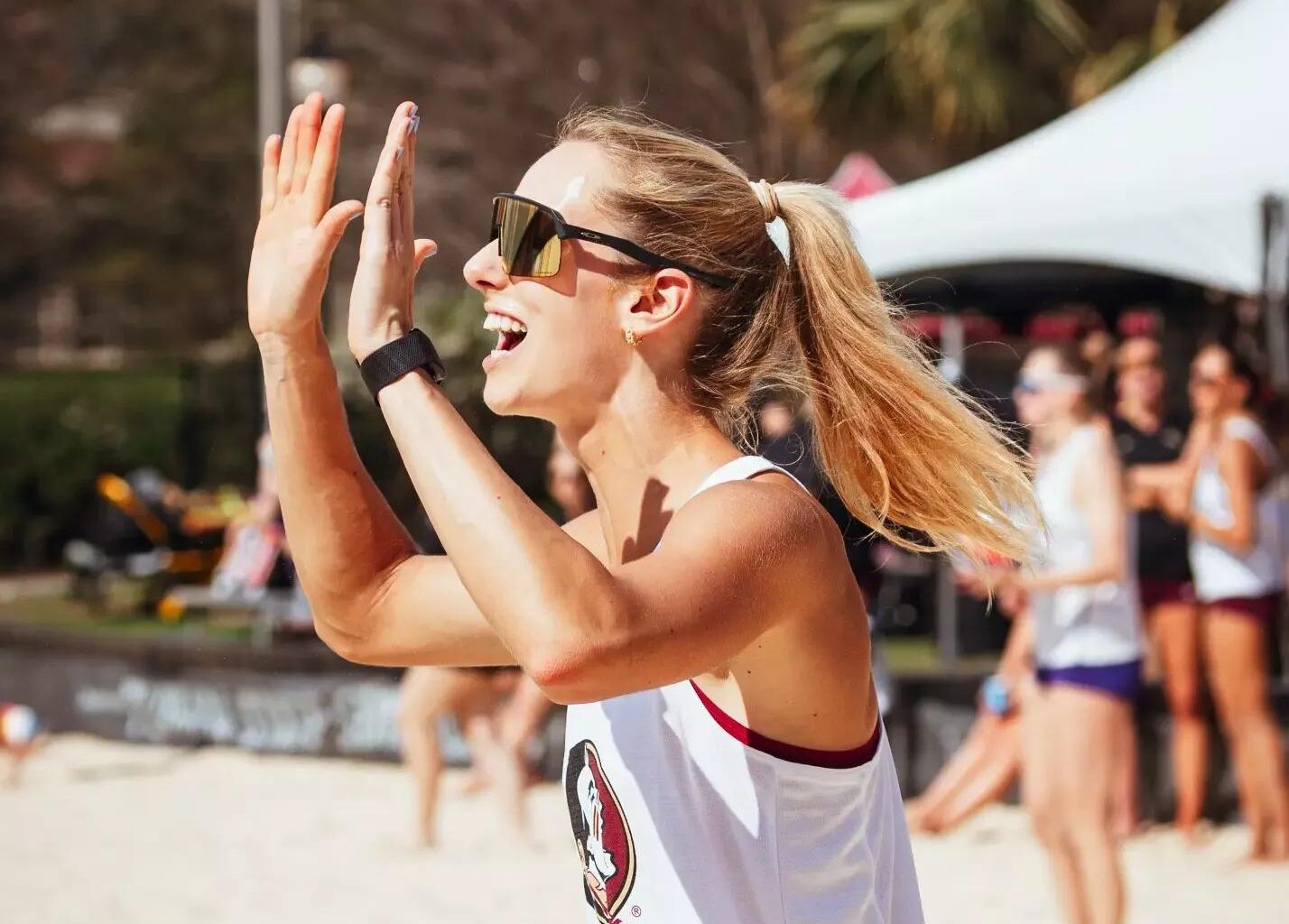 University of North Carolina Wilmington Logo