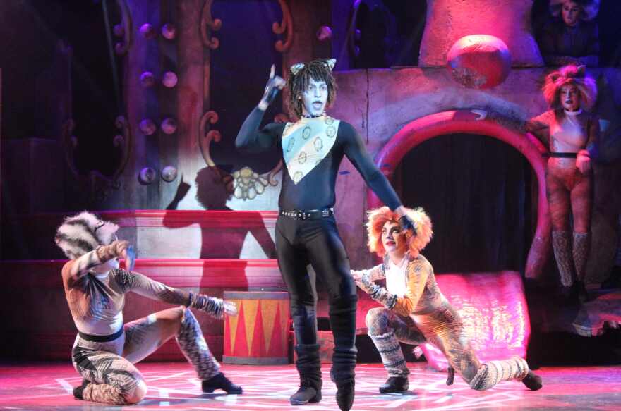 Caleb Summers brings swagger, infectious energy and dynamic dance moves to the role of the charismatic tuxedo tom Rum Tug Tugger.