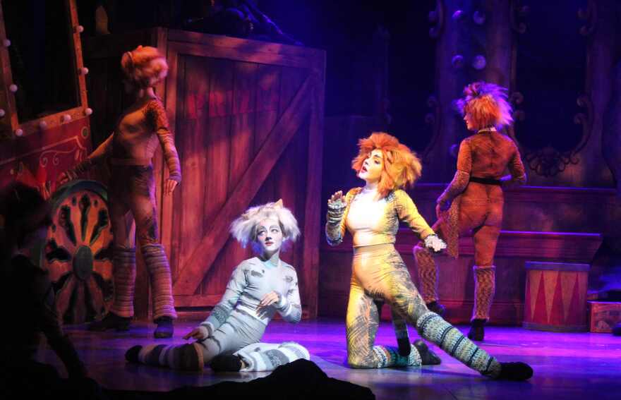 Scene from Broadway Palm Dinner Theatre's production of 'CATS'