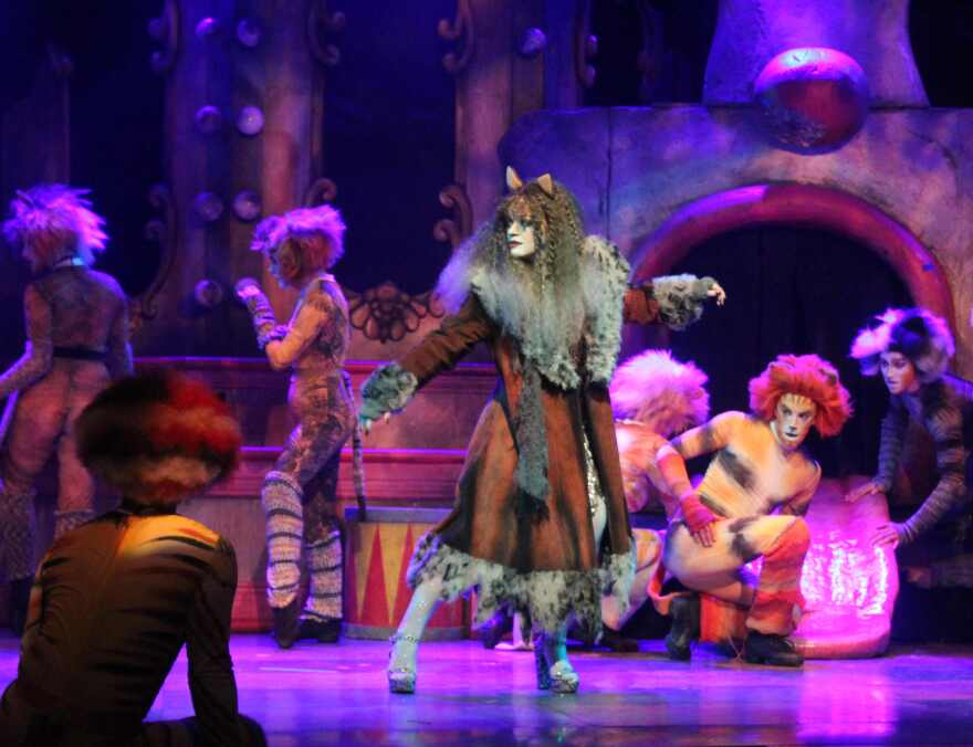 Abigail Aldridge as aging glamor cat Grizabella.