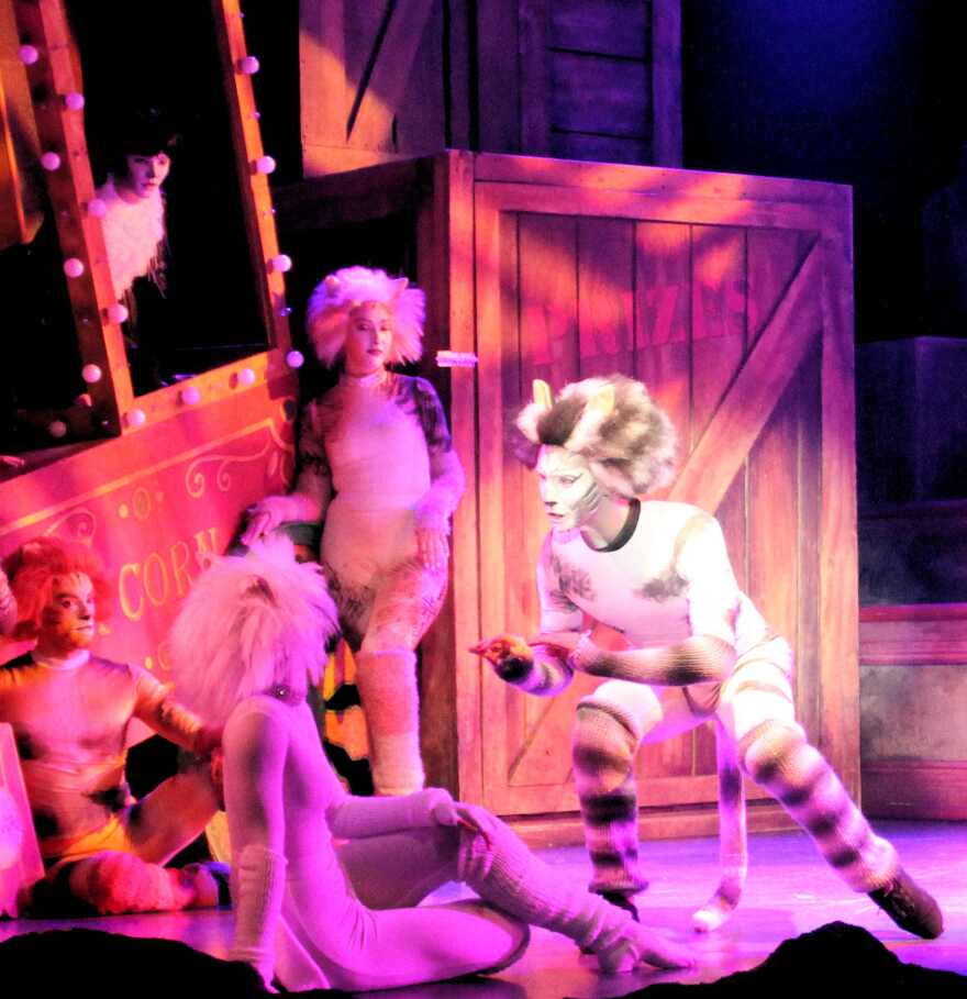 Old Deuteronomy’s second in command is the grey tabby tomcat Munkustrap, played by Dalton Bertolone. 