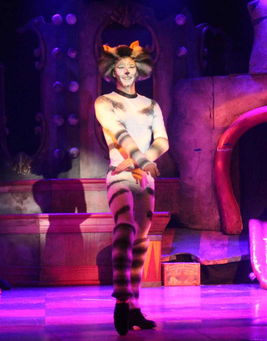 Dalton Bertolone as Munkustrap in 'CATS'