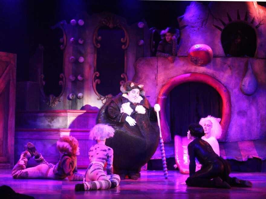 Frank Hughes plays Bustopher Jones, a remarkably fat upper-class cat (a 25-pounder) who is respected by all. 