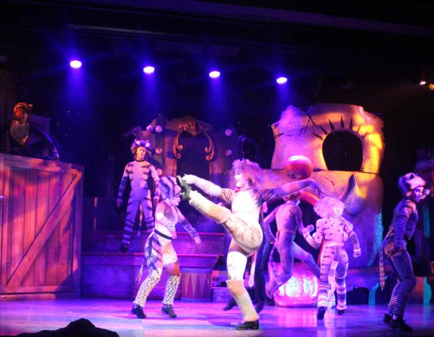 Jellyorum is played by Florida Southern College graduate Giselle Meyers. 