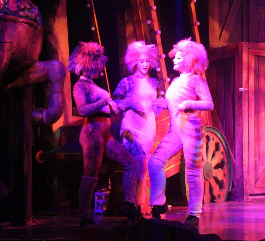 Giselle Meyer (center) plays the part of Jellylorum, who is named after T.S. Eliot's own cat.