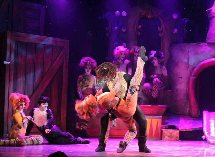 A recent Boston Conservatory graduate (with a BFA in musical theater), Olivia Georgio is making her Broadway Palm debut in the role of Bombalurina.