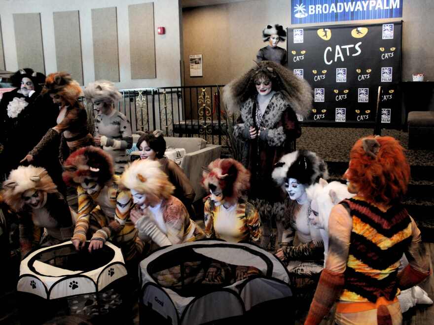 Cast of 'CATS' meets their namesakes from the Cape Coral Animal Shelter in the lobby of Broadway Palm Dinner Theatre prior to rehearsal on November 18.