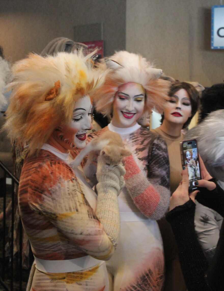 Olivia Georgio, Fiona Mowbray and Paige Majewski interact with kitten from Cape Coral Animal Shelter.