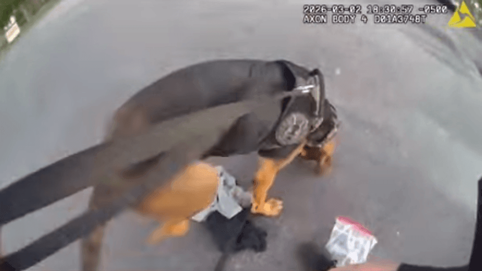 A collaboration between police departments and the community led to the safe recovery of a missing 13-year-old boy with autism, who was found wandering in a wooded area after an hour-long search. (PSLPD)