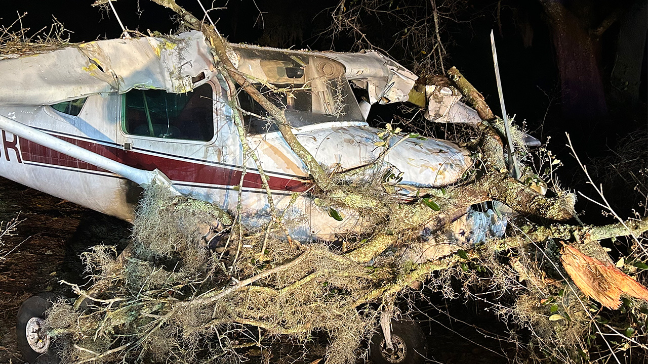 Small plane hits power lines, tree during emergency landing in Thonotosassa neighborhood: Deputies