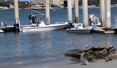 How Florida’s fishing license change could impact tourists