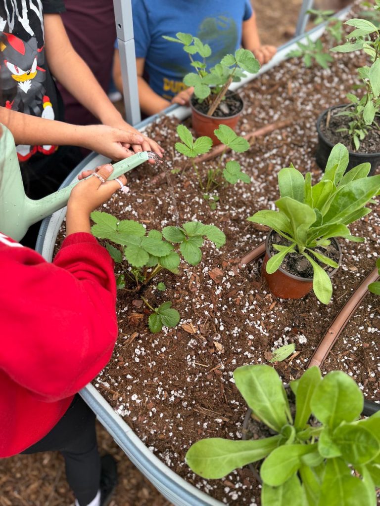 House of Hope students in the gardens. Photo courtesy of House of Hope