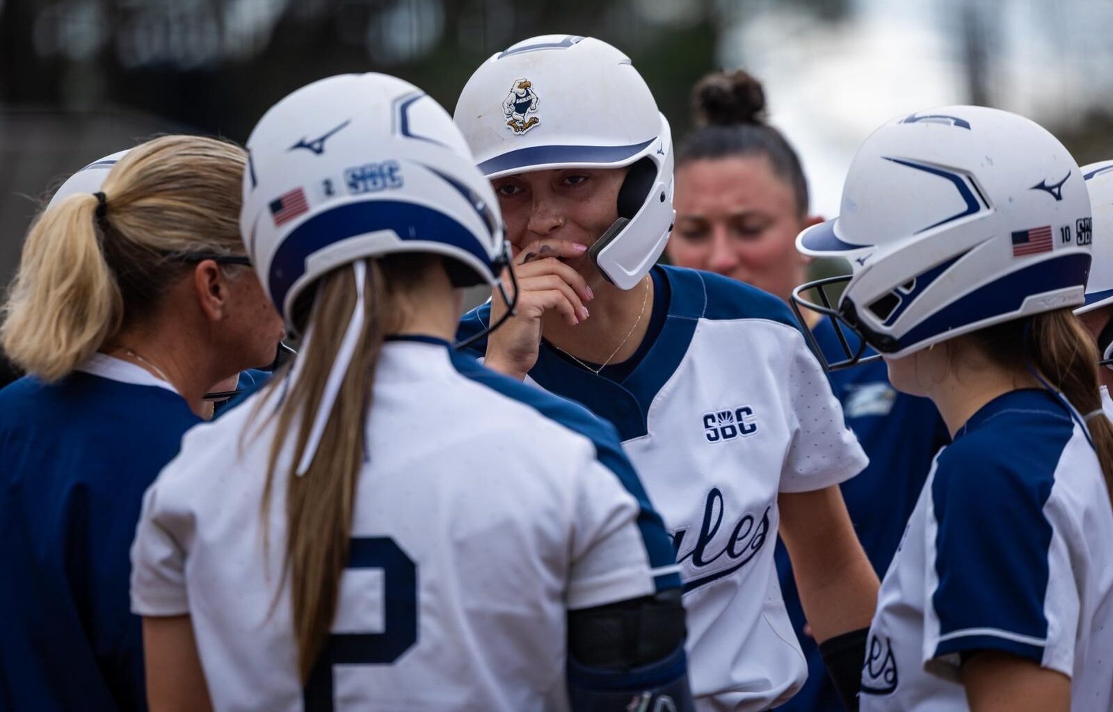 Presbyterian College Logo
