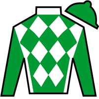 Horse Silk Start The Ride