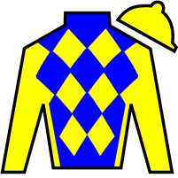 Horse Silk Roger That Dana