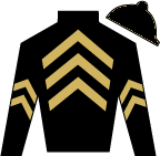 Horse Silk Thunder Buck