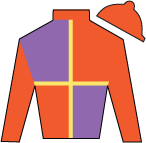 Horse Silk Further Ado