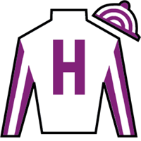 Horse Silk Hulkamania