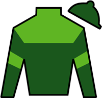 Horse Silk Canaletto