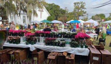 Yahoo lifestyle home