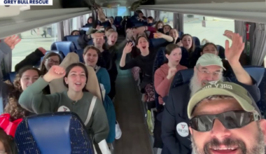 Tampa-based Grey Bull Rescue brings 300 Americans home from Middle East