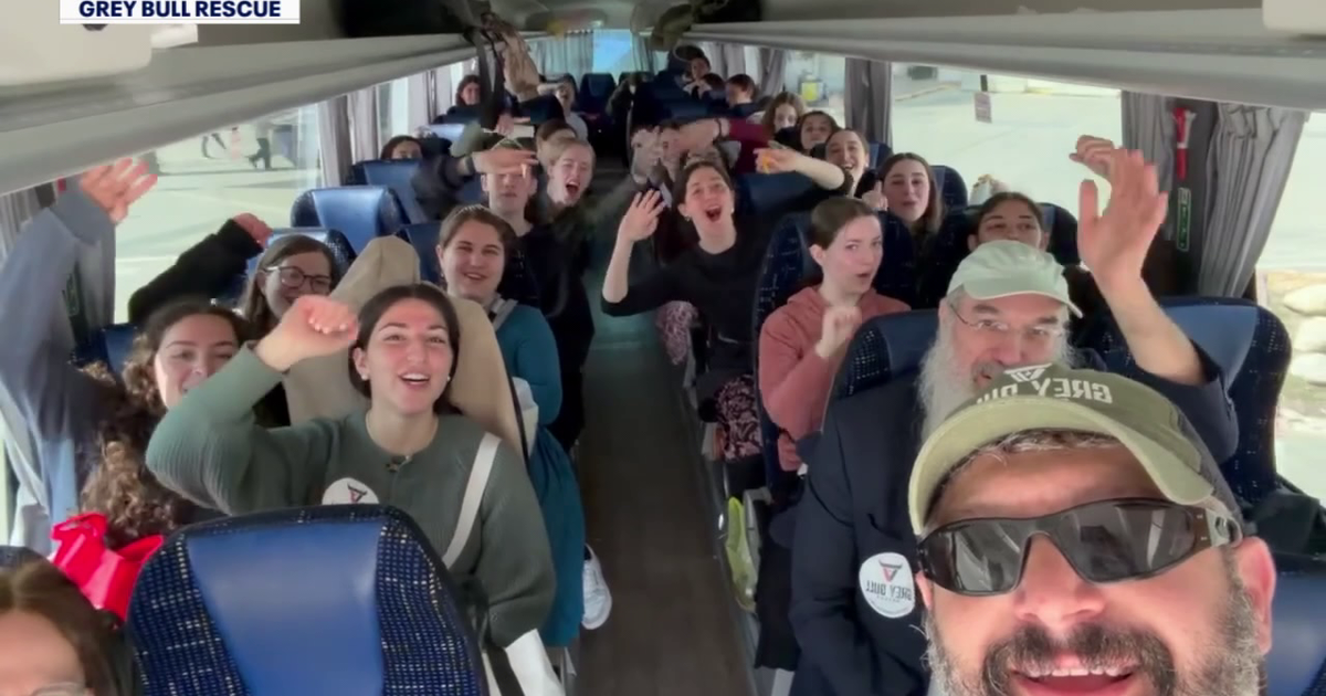 Tampa-based Grey Bull Rescue brings 300 Americans home from Middle East