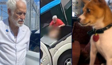 Florida man arrested after injured dog found in dumpster had to be put down, deputies say