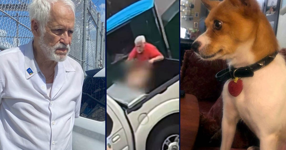 Florida man arrested after injured dog found in dumpster had to be put down, deputies say