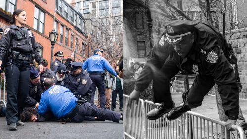 nypd ied (1) (1).png