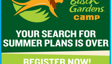 Ultimate Summer With Busch Gardens Tampa Bay Camps