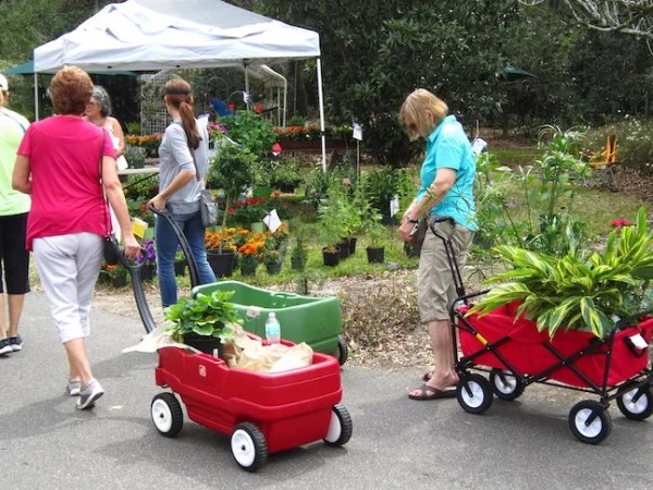 Get your green goodness at this weekend’s Leu Gardens Plant Sale