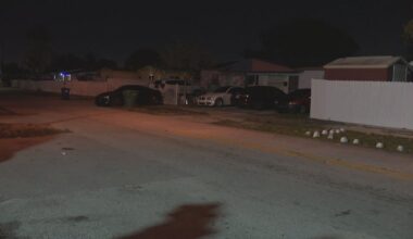 2-year-old bitten in face by Pit bulls in Miami Gardens