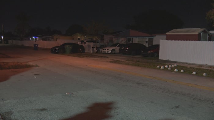 2-year-old bitten in face by Pit bulls in Miami Gardens