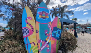 Aquatica Orlando brings aloha vibes with weekend party series