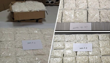 Miami man pleads guilty to trafficking synthetic drugs from China into the U.S. – NBC 6 South Florida