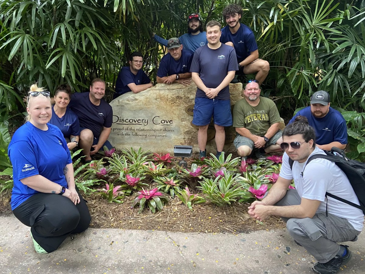 Discovery Cove accused of refusing to recognize divers’ union, violating federal labor law