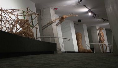 MOSI exhibition 'Dreaming in Bamboo' highlights blend of science and art